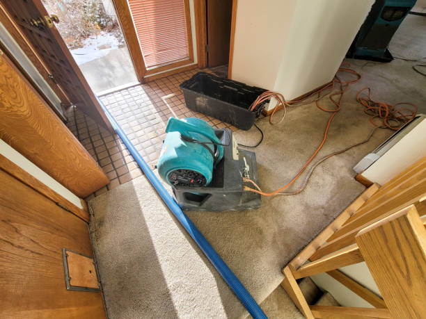 Best Water damage restoration near me  in Crescent Springs, KY